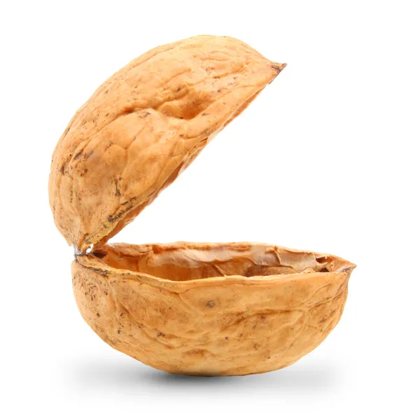 boş fındık kabuğu