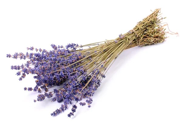 French lavender. — Stock Photo, Image