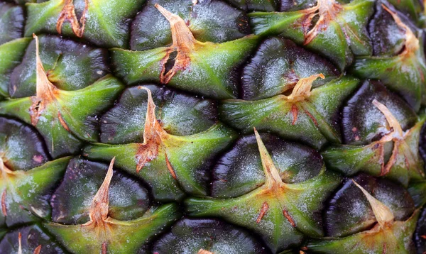 Pineapple — Stock Photo, Image