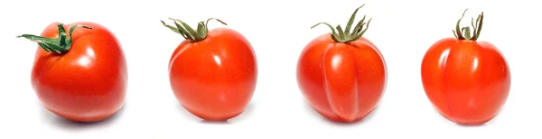 Pomodori rossi — Foto Stock