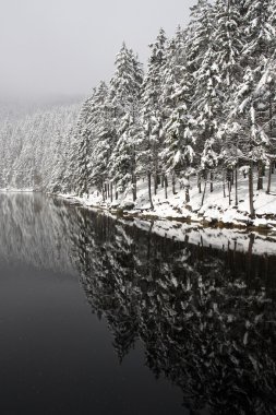 gizem yerde Milli Parkı sumava