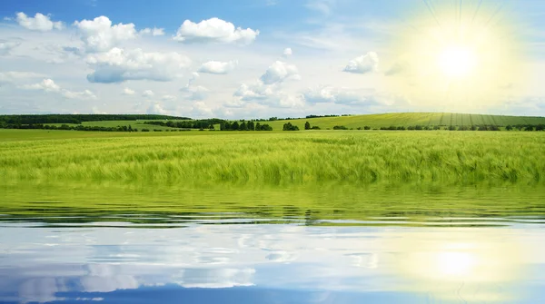 Wald und See — Stockfoto