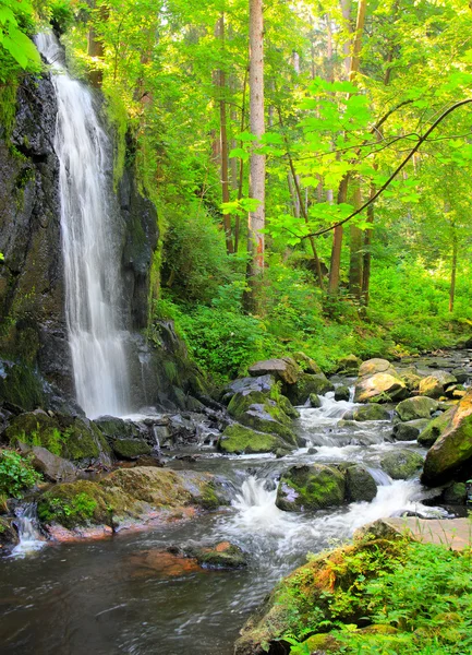 Beautiful waterfall in green forest. — Stock Photo, Image