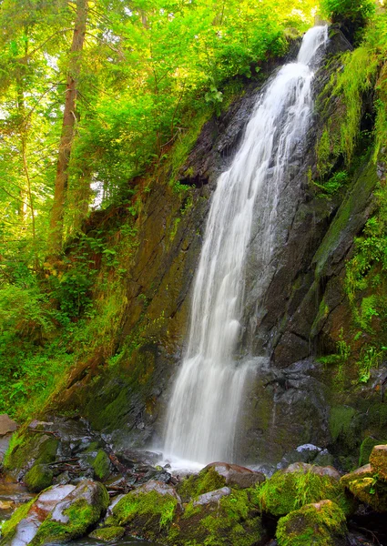 緑の森の美しい滝. — ストック写真