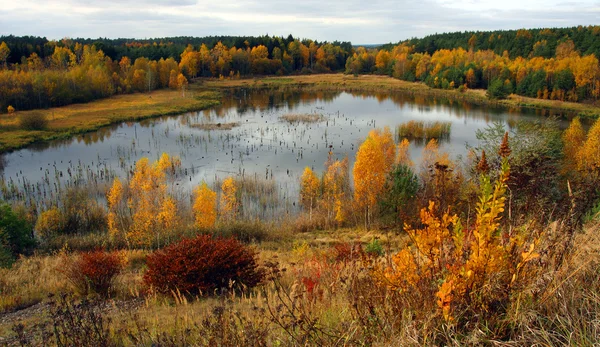 Barevný podzim v krásné České národní park Šumava - Evropa — Stock fotografie