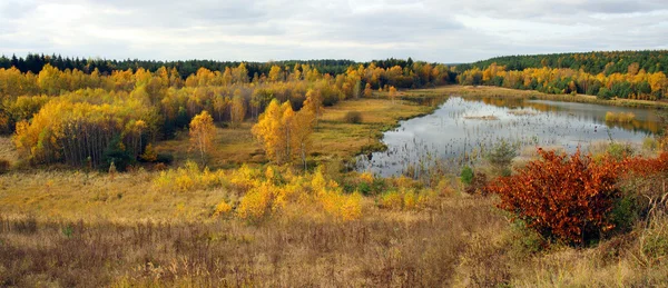 Gekleurde herfst in mooie Tsjechische nationaal park sumava - Europa — Stockfoto