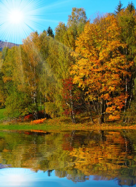 Renkli sonbaharda güzel Çek Milli Parkı sumava - Avrupa — Stok fotoğraf