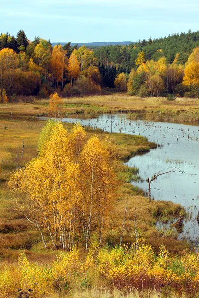 Colored Autumn in beautiful Czech National Park Sumava - Europe — Stock Photo, Image