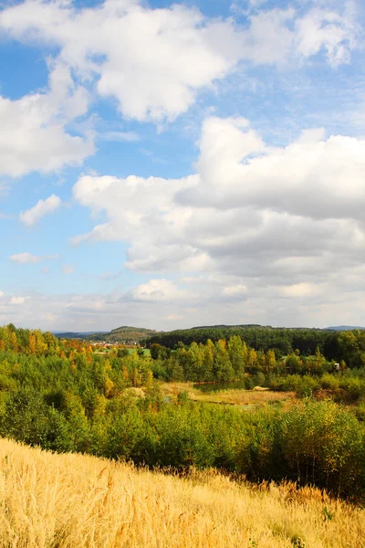 Herfst grasland — Stockfoto