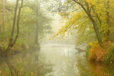sisli sonbahar günü radbuza Nehri üzerinde. Kunduz sanctuary.