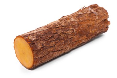 Cut log fire wood from Common Oak tree clipart
