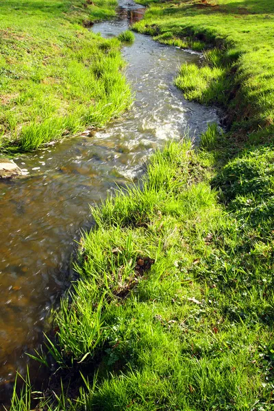 Río de montaña — Foto de Stock