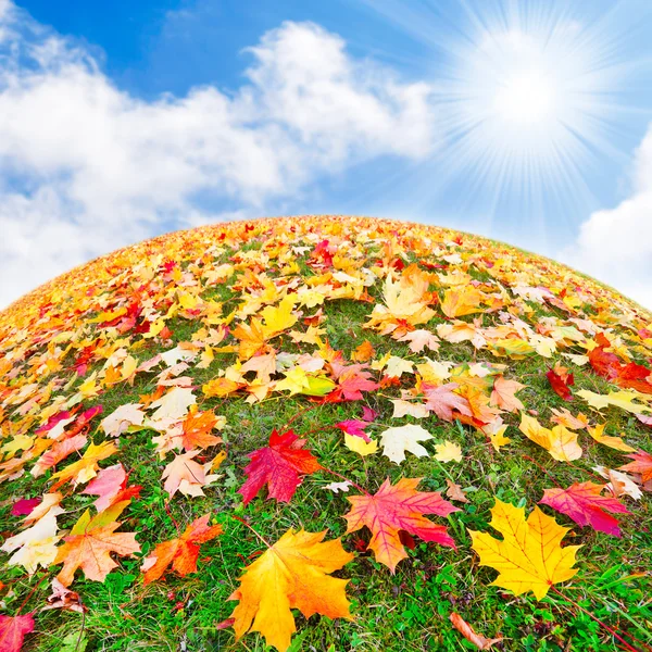Colores del otoño —  Fotos de Stock