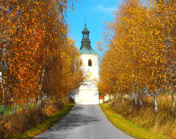 Chiesa nella foresta — Foto Stock