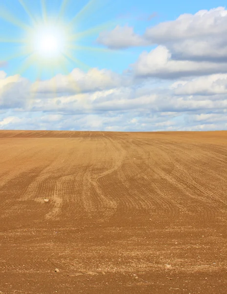 Plogad och seedade fältet — Stockfoto