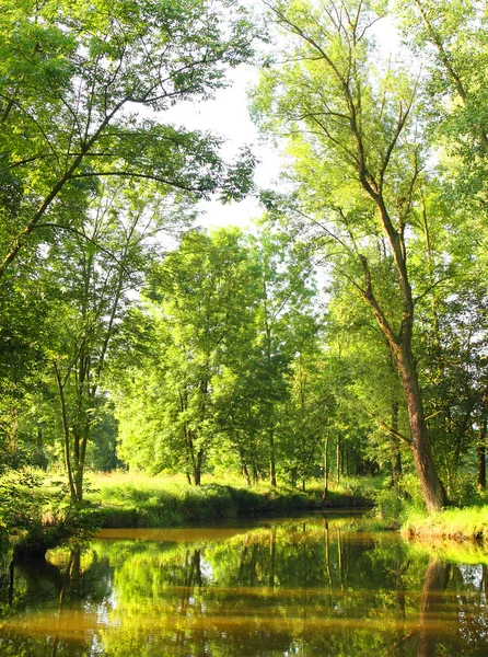 The Radbuza River — Stock Photo, Image