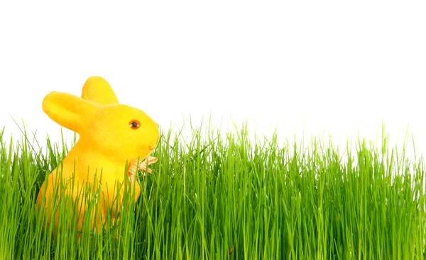 Маленький желтый кролик в свежей весенней траве — стоковое фото
