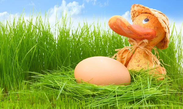 De eend met een ei. — Stockfoto