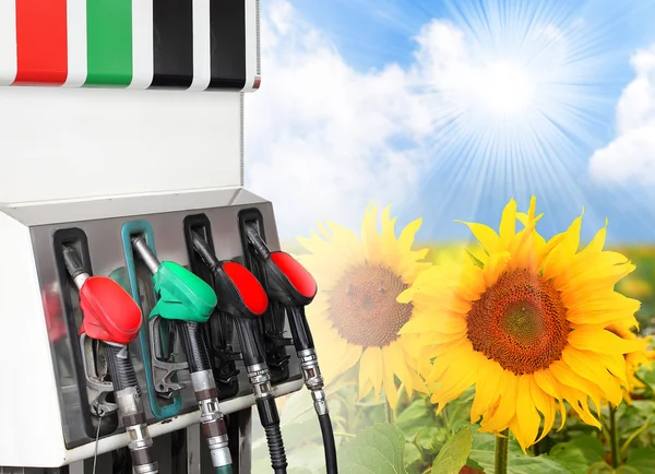 Gas station en verkrachting veld. ecologie concept. — Stockfoto