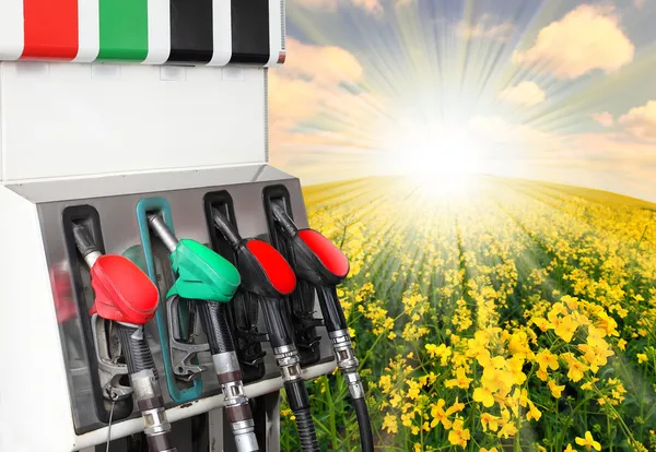 Gas station and rape field. Ecology concept. — Stock Photo, Image