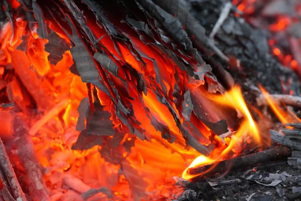 Burning paper waste — Stock Photo, Image