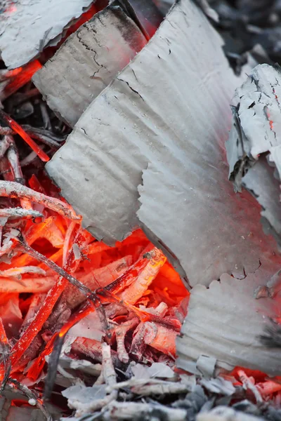 Burning paper waste — Stock Photo, Image