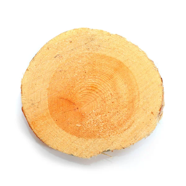 Cut from pine tree log. — Stock Photo, Image