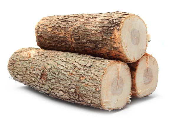 Firewood — Stock Photo, Image