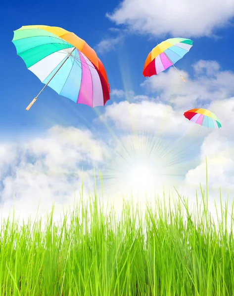 Rainbow umbrellas — Stock Photo, Image