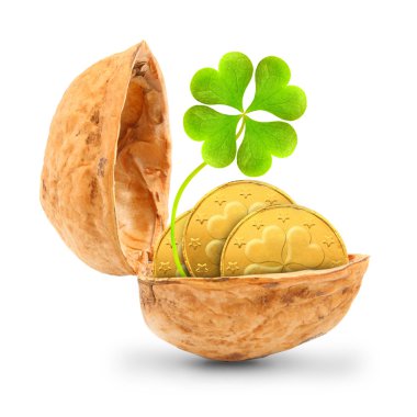 Golden coins and a four leaf clover in the nutshell. The luck concept. clipart