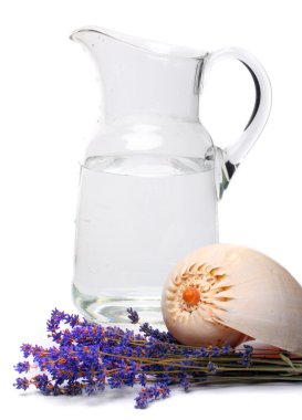 Sağlık Ekipmanları