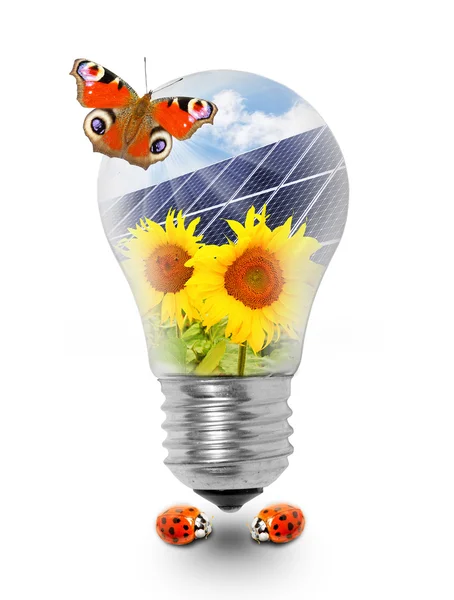 Gloeilamp met zonnepanelen op zonnebloemen. — Stockfoto