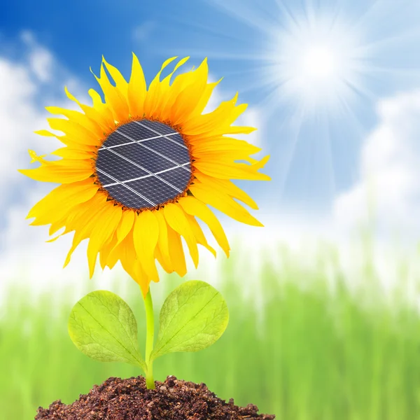 Zonnepanelen op de zonnebloem — Stockfoto