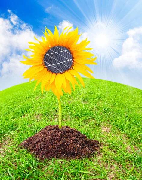 Paneles solares en el girasol — Foto de Stock