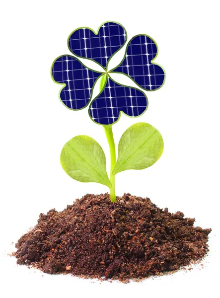 Solar energy panels from clover leaves — Stock Photo, Image