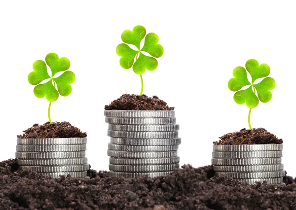 Money growth. Silver coins in soil with clover leaves. Financial metaphor. — Stock Photo, Image