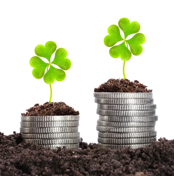 Crecimiento de dinero. Monedas de plata en tierra con hojas de trébol. Metáfora financiera . — Foto de Stock