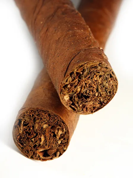Cuban Cigar — Stock Photo, Image
