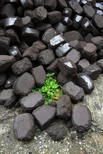 Cokelat memiringkan batubara di rumput — Stok Foto