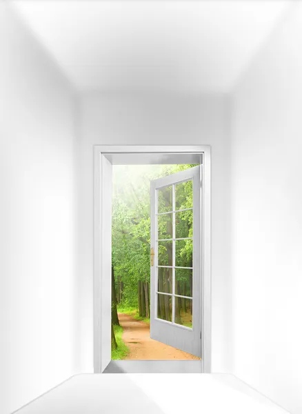 Opened door to early morning in green forest — Stock Photo, Image