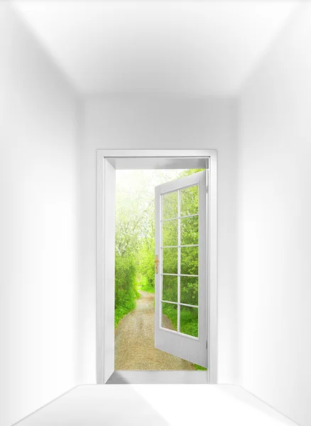 Opened door to early morning in green forest — Stock Photo, Image