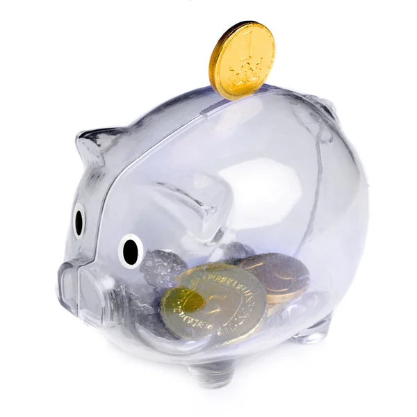 Pig money box — Stock Photo, Image