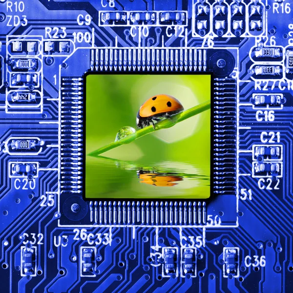 Computer board — Stock Photo, Image