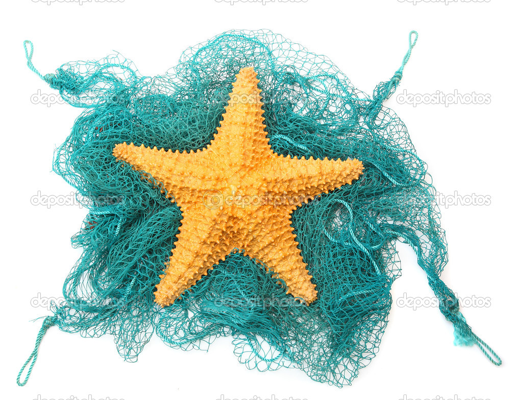 The caribbean starfish