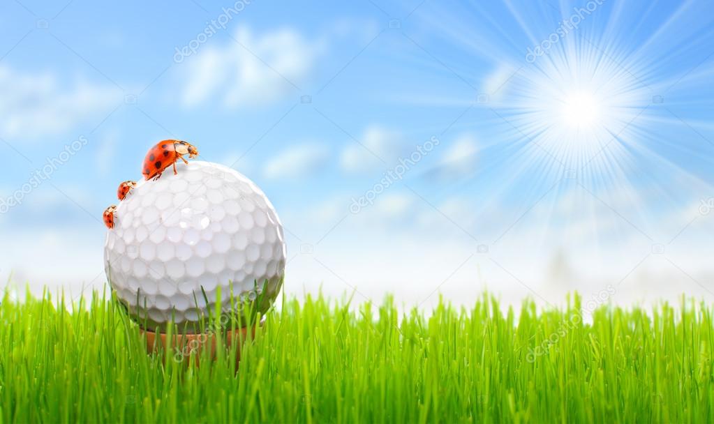 Golf ball and ladybugs