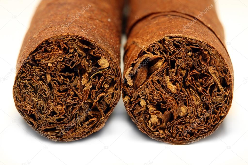 Cuban Cigar