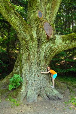 Kız sarılmak ağaç