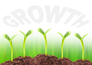 ekonomik büyüme kavramı