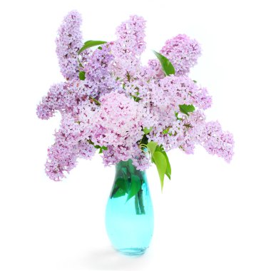 Common Lilac Bunch clipart