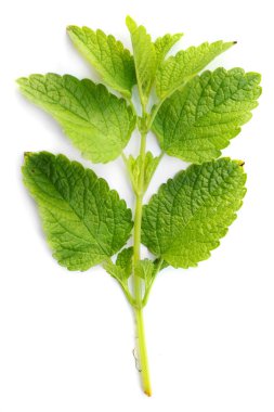 Limon merhemi